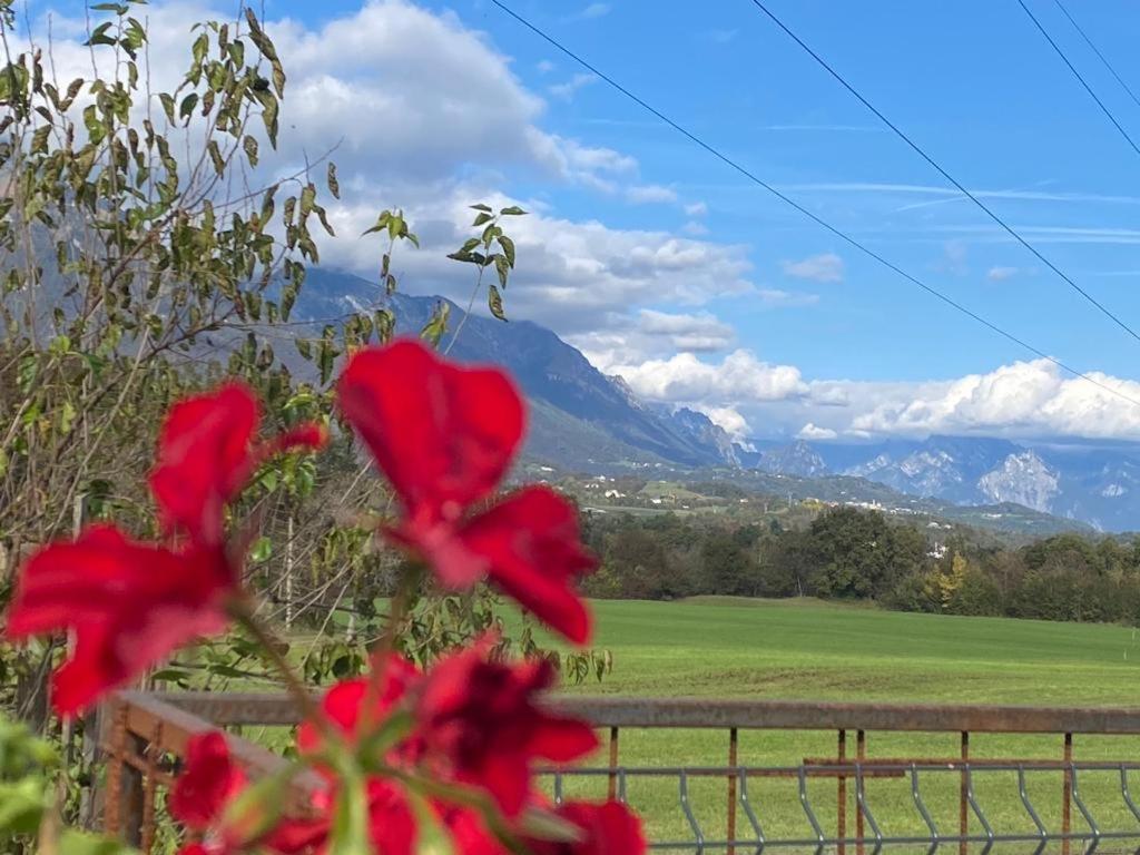 Il Mondo Roverso แฟลเตร ภายนอก รูปภาพ